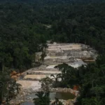 Oro manchado de sangre: La minería ilegal desangra a Perú y sacude a Bolivia