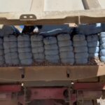 FELCN incauta más de 800 kilos de marihuana camuflados en carga de grava en Uyuni