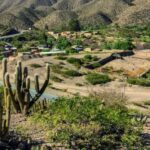 Heladas extremas acaban con la producción agrícola en Vitichi