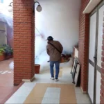 Confirman otras dos muertes por fiebre amarilla