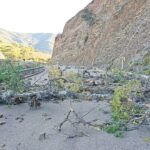 Cívicos exigen a la Policía despejar las carreteras