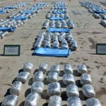 FELCN incauta más de 1.6 toneladas de marihuana en la frontera con Chile